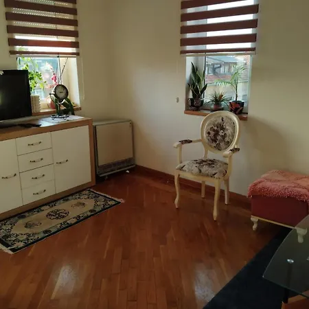 Gospicka Apartment *